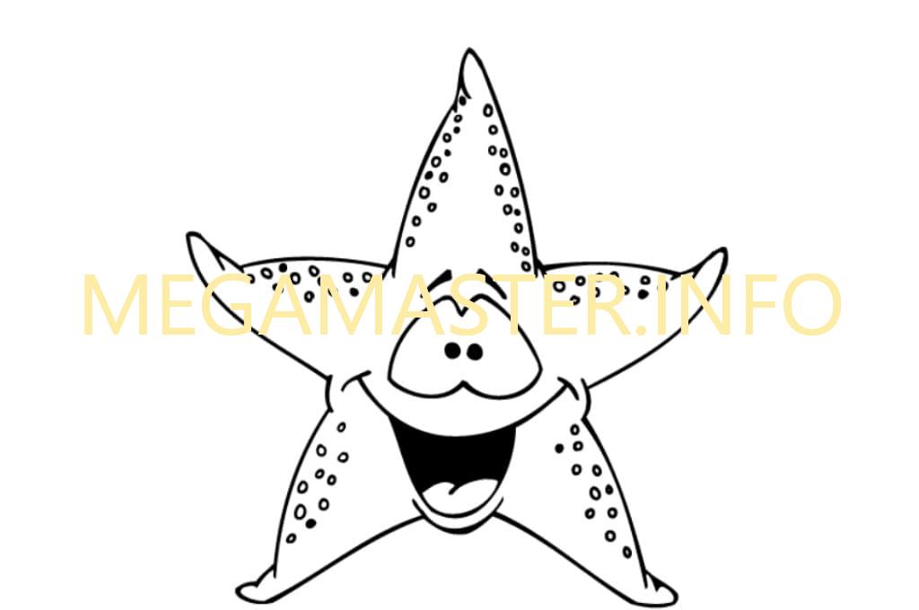 shablon morskoj zvezdy