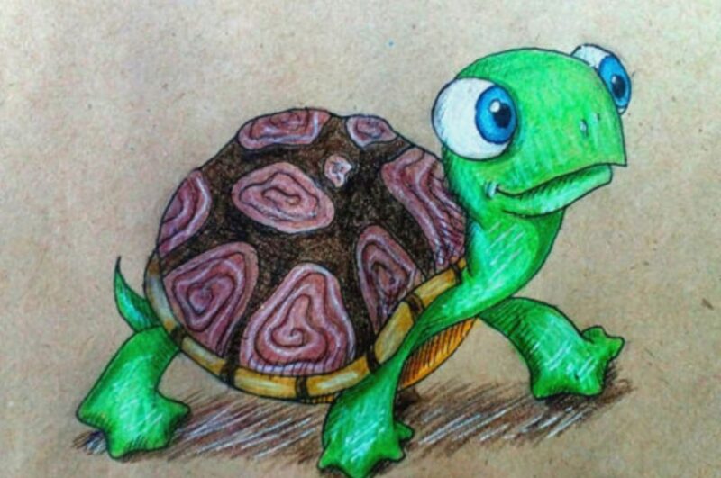 Как нарисовать черепаху видео