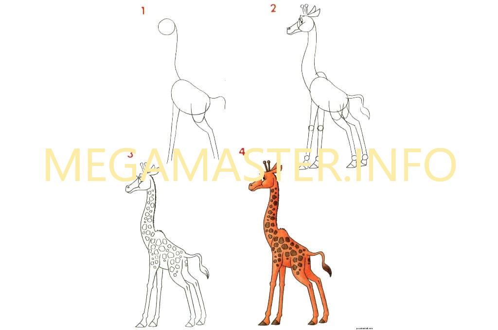 Жираф поэтапно для детей. Поэтапное рисование жирафа в подготовительной группе. Как нарисовать жирафа карандашом поэтапно для детей. Жираф поэтапное рисование для детей. Схема рисования жирафа для дошкольников.