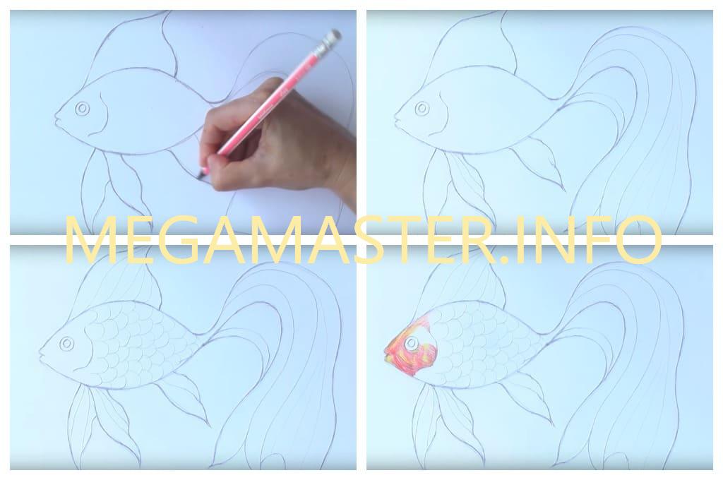 Как нарисовать рыбу карандашом (Шаг 2)