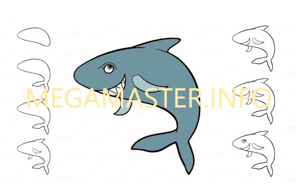 Как нарисовать акулу карандашом поэтапно ✏