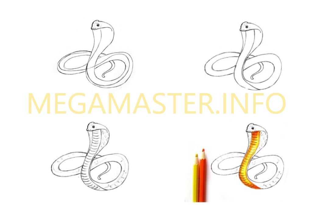 Легкий рисунок змей. Змея поэтапное рисование. Как нарисовать змею. Поэтапный рисунок змеи. Змея карандашом для срисовки.