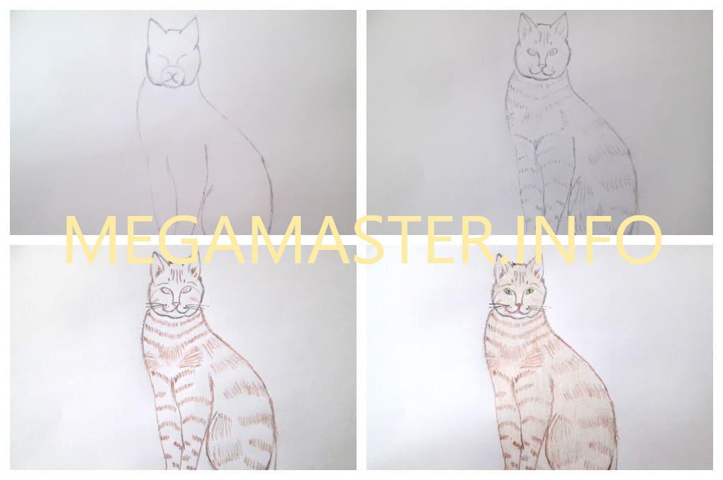 Рисунок кота карандашами (Шаг 3)