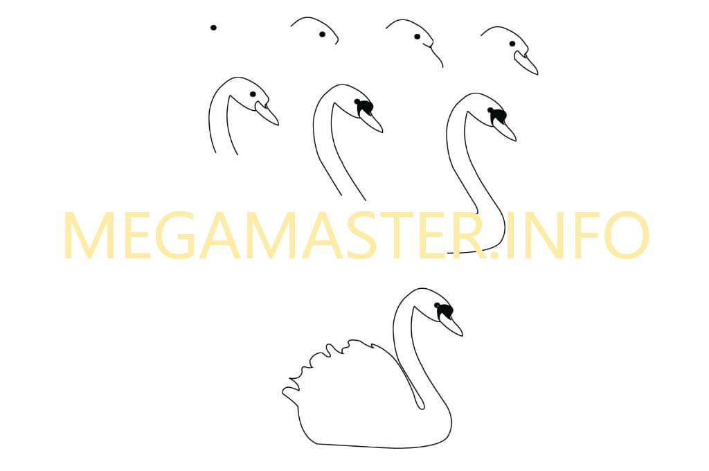 Как нарисовать лебедя для начинающих