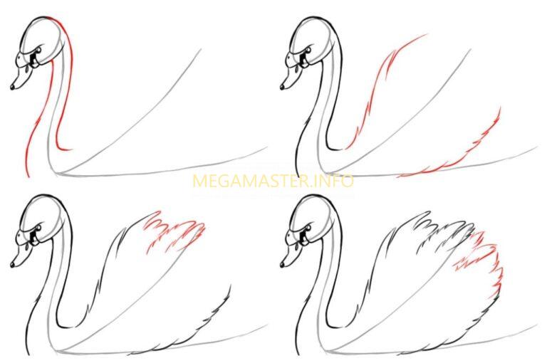 Как нарисовать голову лебедя карандашом поэтапно