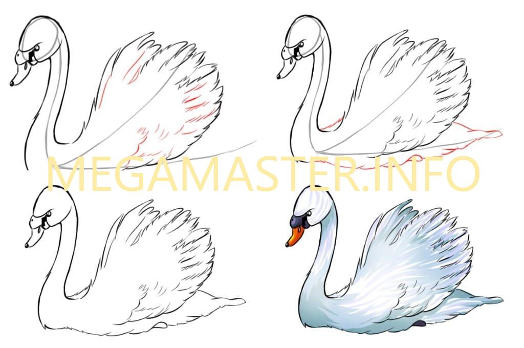 Как нарисовать лебедя поэтапно карандашом или гуашью