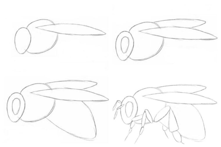 Как нарисовать пчелку легко