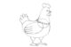 Как нарисовать курицу карандашом (Шаг 3)