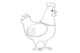 Как нарисовать курицу карандашом (Шаг 4)