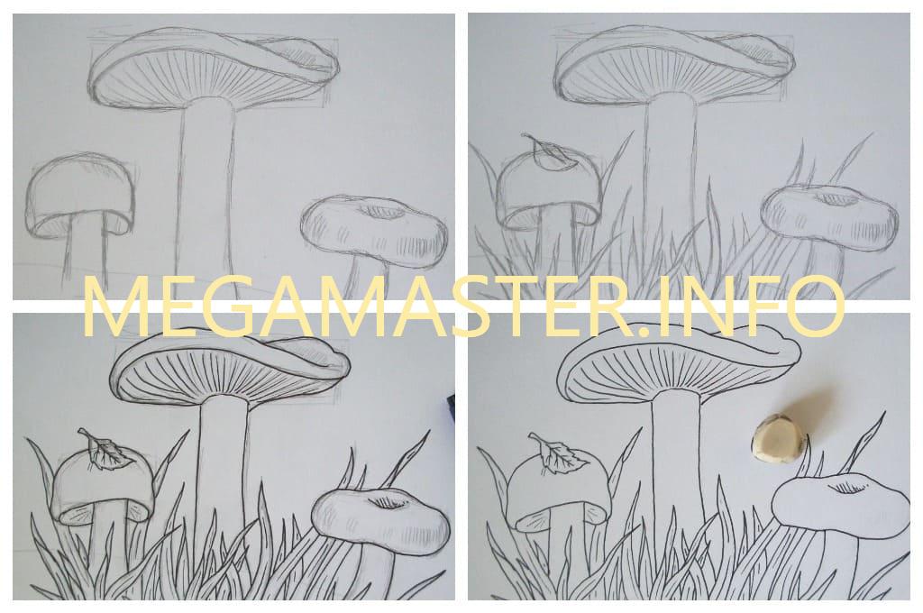 Грибы поэтапно. Рисование грибы. Гриб рисунок. Поэтапное рисование гриба. Рисуем грибы поэтапно.