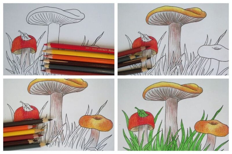 как нарисовать грибы карандашом