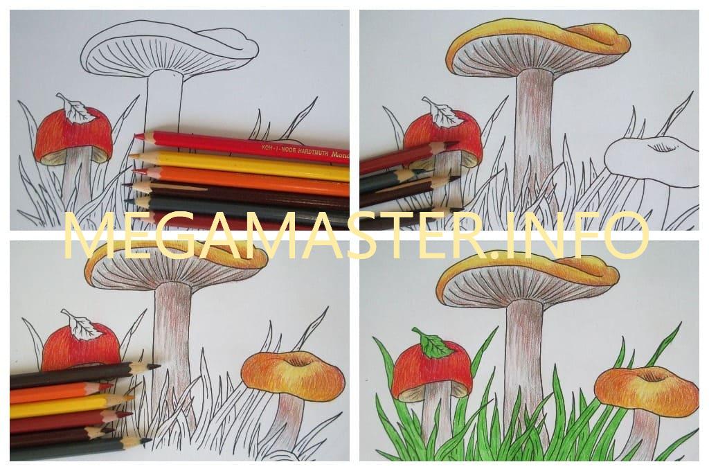 Грибы поэтапно. Рисование грибы. Рисование гриба поэтапно. Гриб рисунок. Грибы цветными карандашами.